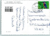 1452 Les Rasses - Les Genets