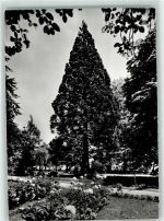 8265 Mammern - Kuranstalt Untersee Park