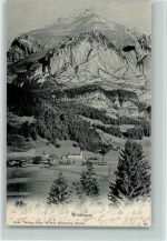 9658 Wildhaus 1903