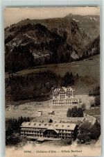 1660 Château-d´Oex 1909 - Hotel Berthod