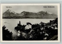 3654 Gunten - Thunersee Niesen Stockhornkette