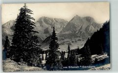 9656 Alt St. Johann - Sellamatt Säntiskette