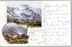 3823 Kleine Scheidegg 1906 Lithographie Jungfrau Gebirge