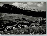 9658 Wildhaus - Lisighaus mit den 7 Churfirsten blühende Wiese