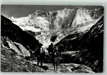3818 Grindelwald Foto AK Bergführer Maultier Weg nach Bänisegg