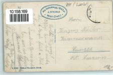 8636 Wald ZH - Kurhaus Alp Scheidegg Kühe