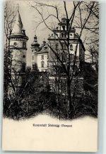 8536 Steinegg TG Hüttwilen 1911 - Kuranstalt