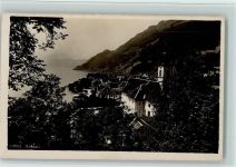 6442 Gersau - Bäume