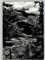 7527 Brail - Engadin