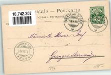 1660 Château-d´Oex 1899 Foto AK