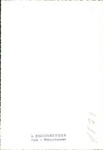 9470 Buchs SG Räfis