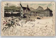 6430 Schwyz - Kollegium Maria Hilf, Edelweiß