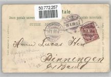 6430 Schwyz - Kollegium Maria Hilf, Edelweiß