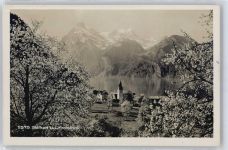 6452 Sisikon - Urirotstock