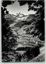 8767 Elm - Hausstock