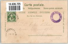 8158 Regensberg 1900 Lithographie Hochwacht Lägern Gasthaus Trigonometrisches Signal