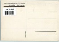 3812 Wilderswil 1940 Künstlerkarte Schlosshotel Unspunnen AK