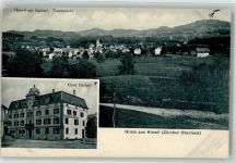 8340 Hinwil 1910 - Hotel Bachtel