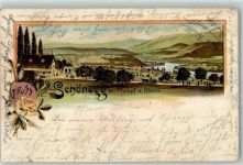 4322 Mumpf 1899 Lithographie Schönegg Rose Rhein Passepartout