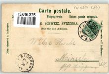 4322 Mumpf 1899 Lithographie Schönegg Rose Rhein Passepartout