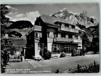 9658 Wildhaus - Hotel Erika - Foto Gross 28093, gute Erhaltung AK