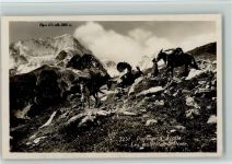 Pigne d'Arolla - Paysage à Arolla Les Mulets de la Poste