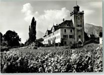 7304 Maienfeld - Schloss Salenegg