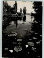 8803 Rüschlikon - Stiftung Im Grüene Parkweiher