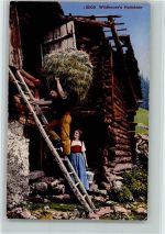 Wildheuer's Heimkehr