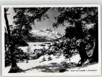 7513 Silvaplana - Winter Campfer