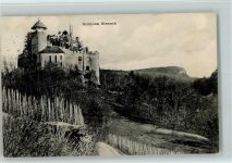 4144 Arlesheim 1910 - Schloß Birseck AK