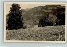 1854 Leysin - Blühende Wiese