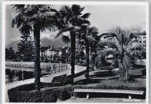 6600 Locarno Cardada