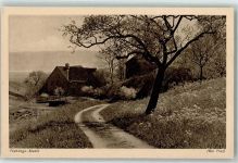 9425 Thal - Frühlings Studie