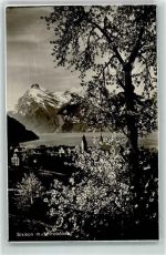 6452 Sisikon - Urirotstock