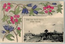 8497 Fischenthal 1911 Foto AK Gasthaus Hörnli Jugendstil