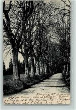 2067 Chaumont 1905 - L'Allee des Tilleuls