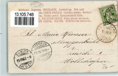 1902 - Zwei Bullen, Rinder - ein Tiergespann AK