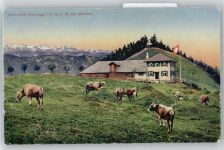 9630 Wattwil - Wirtschaft Kreuzegg, Kuh