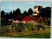 9507 Stettfurt Foto AK Schloss Sonnenberg