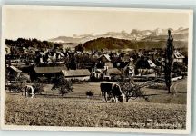 3150 Schwarzenburg - Stockhornkette Kühe