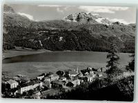 7513 Silvaplana - Verlag u. Fotograf Albert Steiner