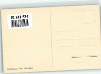 3110 Münsingen Foto AK Löwen