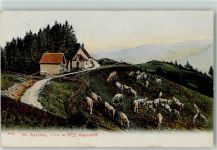 St. Anton Pass 1908 - Kühe