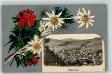 9050 Appenzell 1912 Prägedruck Kirche Blumen