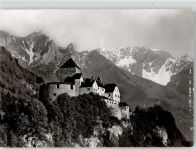 9490 Vaduz - Schloss Falknis