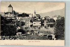 3700 Spiez - Schloss Kuhherde