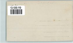 8636 Wald ZH 1919 Foto AK Nr. 44 - Oberland & Seeverbands-Turntag in Wald 1919 AK