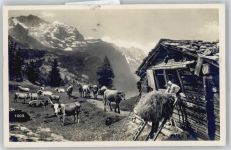 Alpenwirtschaft Tracht Schweiz