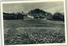 7220 Schiers - Frühling